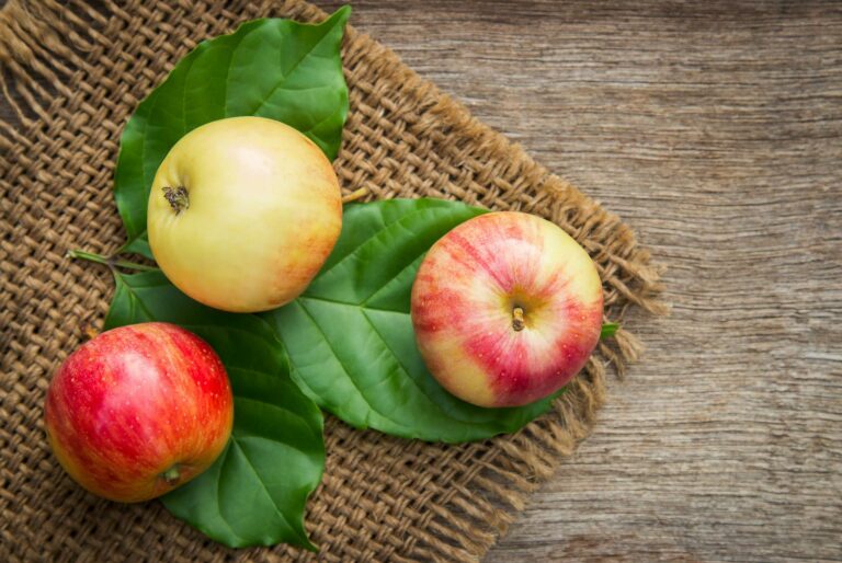 close up photo of red and yellow apple fruits on green leaves